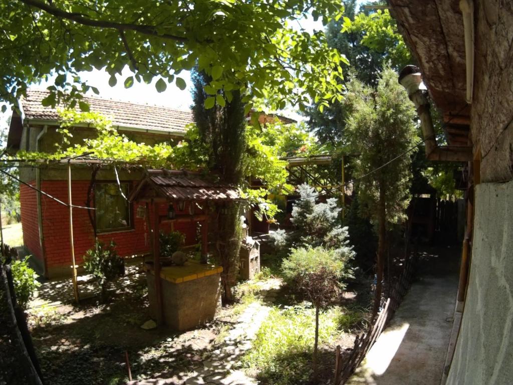 Etno villa Kurija - Villa