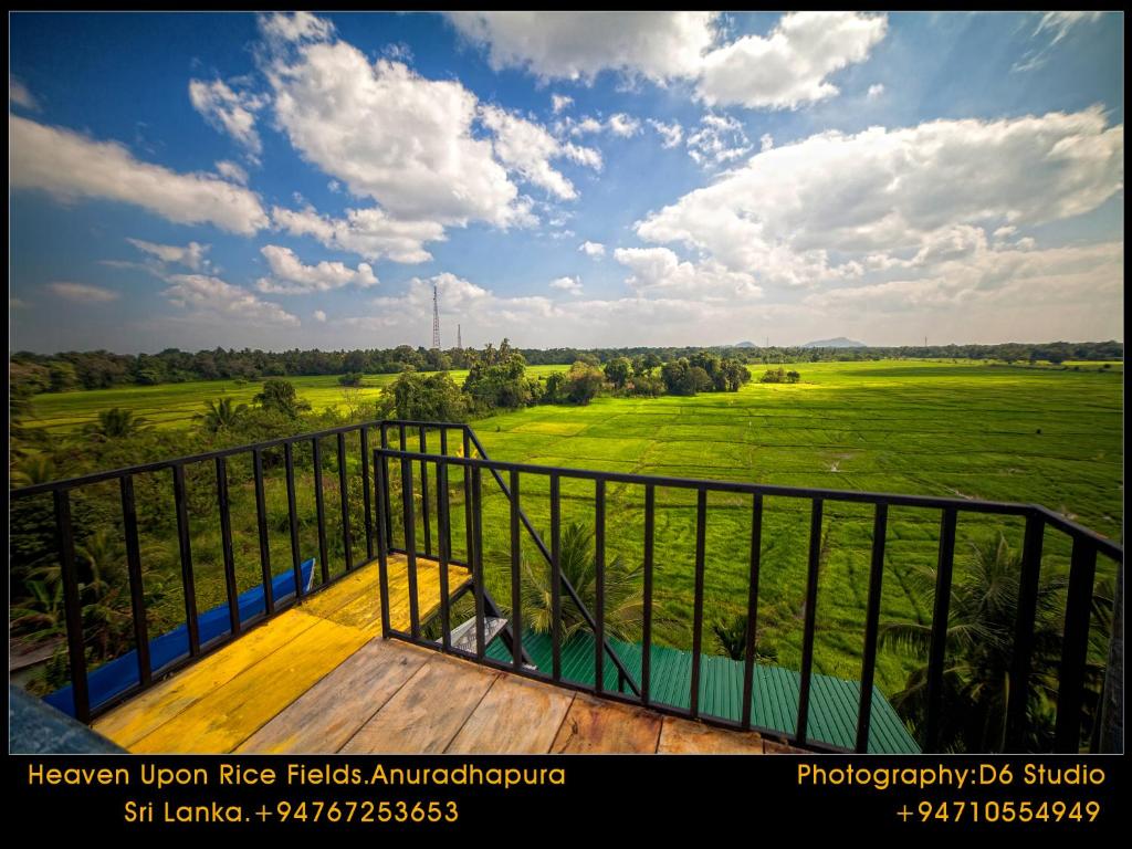 Příroda nedaleko bed and breakfast