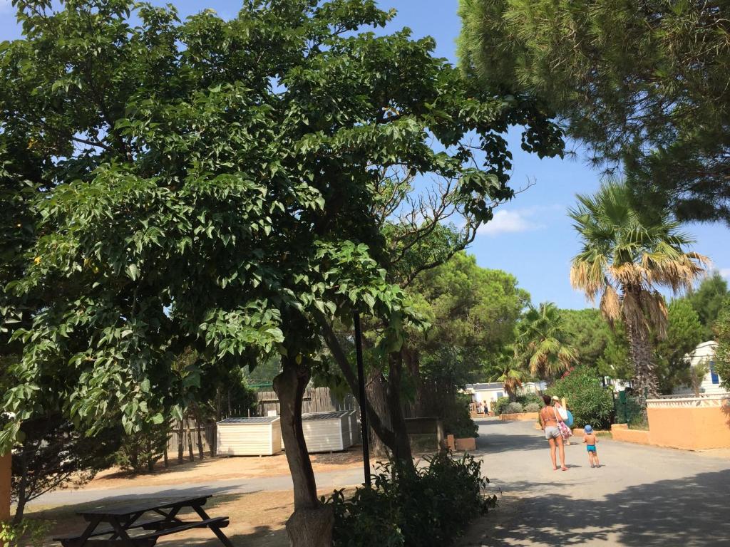 Fotografie z fotogalerie ubytování Mobilhome douce quiétude 2 v destinaci Canet-en-Roussillon