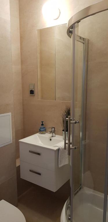 Kúpeľňa v ubytovaní Apartament Bernadett
