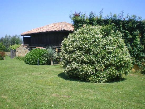 Casa El Prado de la Romia, Argüero – Precios actualizados 2022