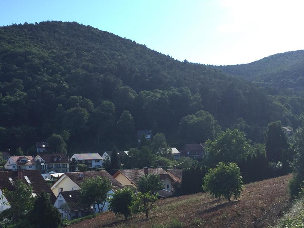 a small town in front of a mountain at Ferienwohnungen Tauscher in Sankt Martin
