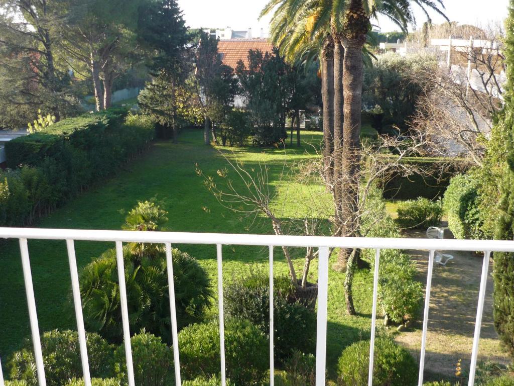a balcony with a palm tree and a yard at Les Palmiers in Saint-Cyr-sur-Mer