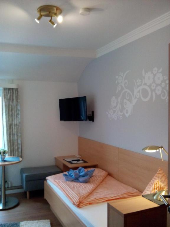 TV a/nebo společenská místnost v ubytování Hotel-Pension Peterhof