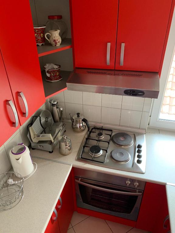 Kuchyň nebo kuchyňský kout v ubytování Pansion Villa Bubalo