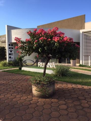 a tree with pink flowers in a pot in front of a building at Aruanã Palace Hotel in Colíder