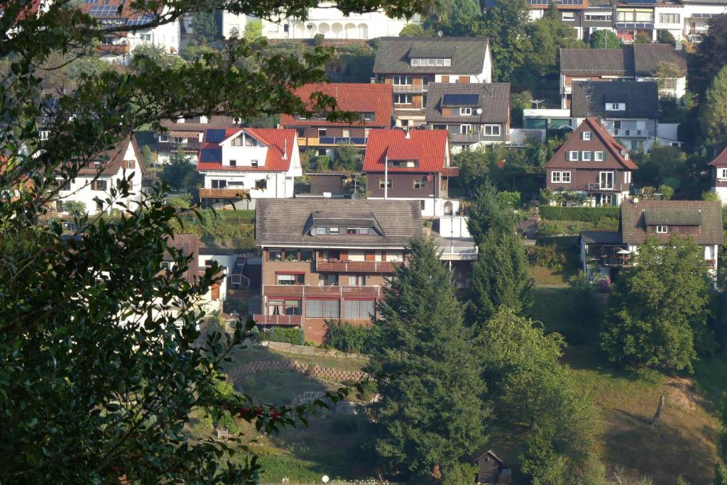 una pequeña ciudad con casas en una colina en Haus Krick, en Alpirsbach