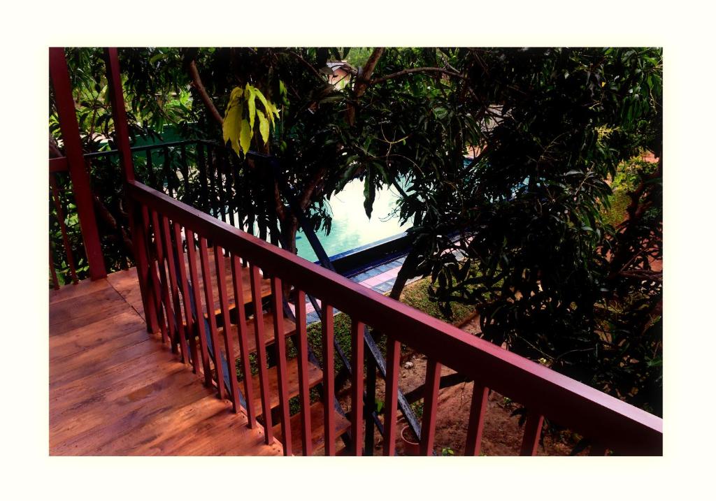 Balkón nebo terasa v ubytování Sun and Green Eco Lodge - Dambulla