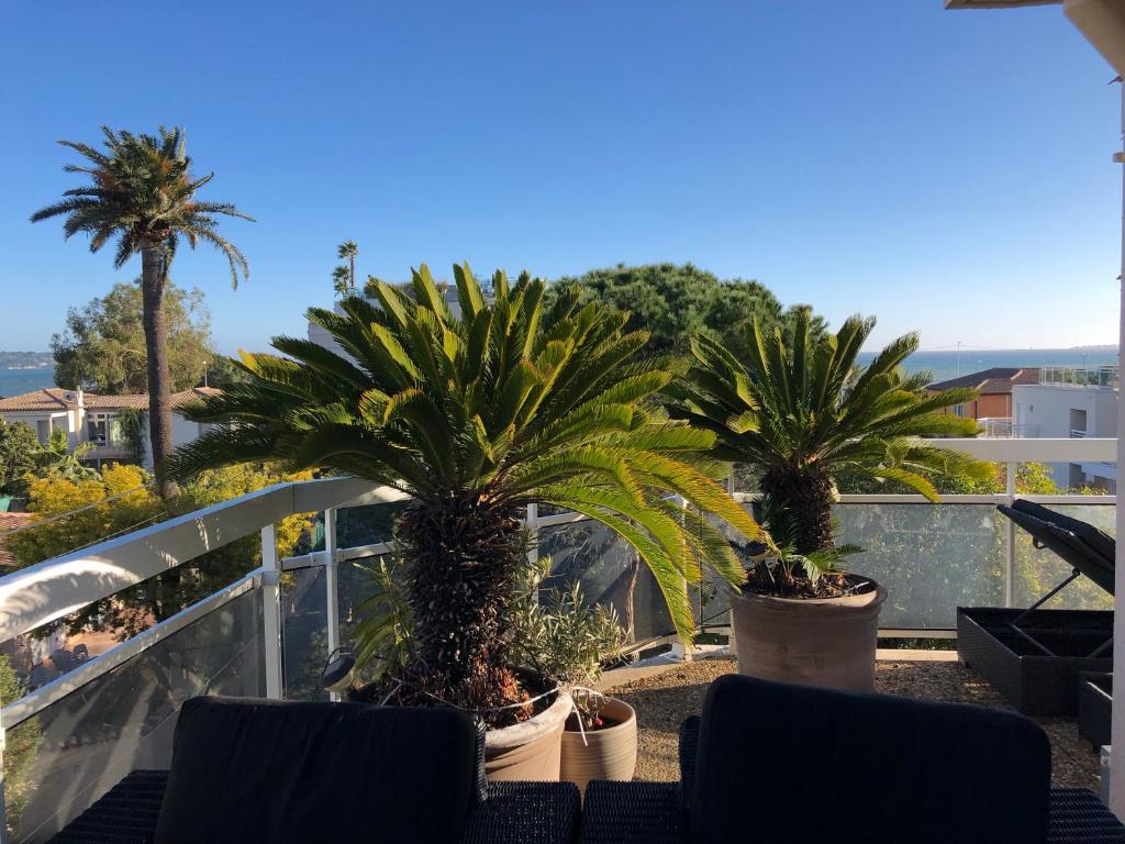 two palm trees in pots on a balcony at Gorgeous one-bedroom apartment with terrace and sea view -StayInAntibes- Bijou Plage in Antibes