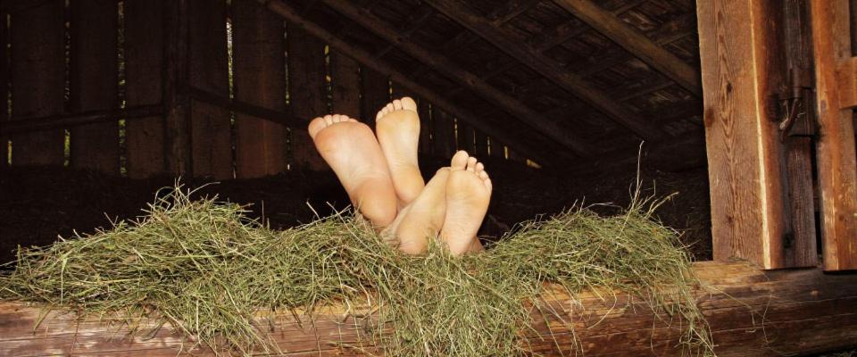 Fotografie z fotogalerie ubytování Landgasthof Kirchmayer v destinaci Farchant
