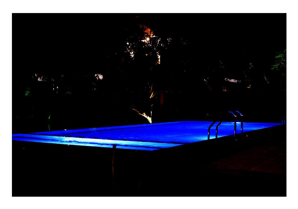 Bazén v ubytování Sun and Green Eco Lodge - Dambulla nebo v jeho okolí