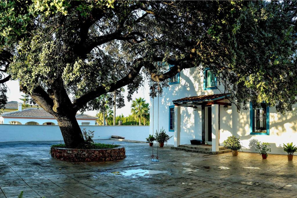 Villa Bárbol (Spanje Alhaurín el Grande) - Booking.com