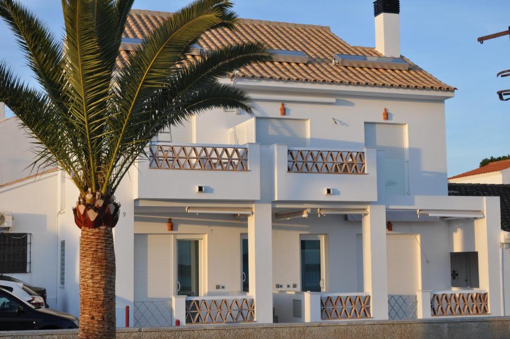 a white house with a palm tree in front of it at Apartamentos en Paseo Maritimo in El Rompido
