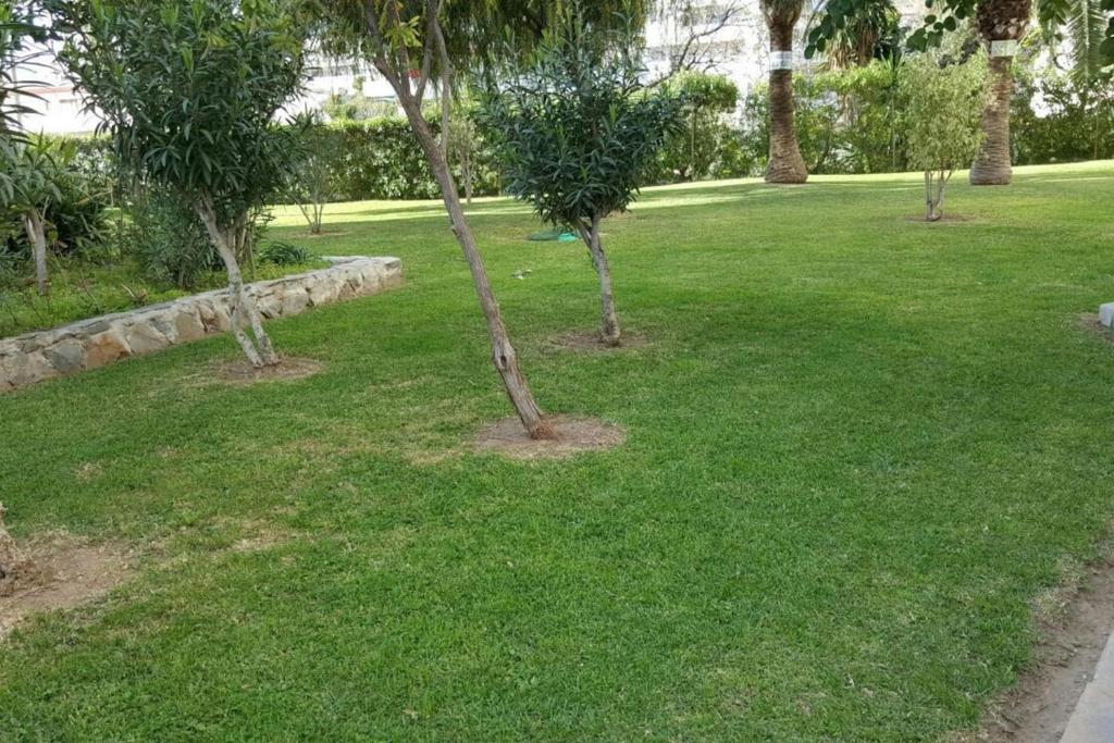 Vonkajšia záhrada v ubytovaní STUDY NEAR MALAGA AND THE BEACH