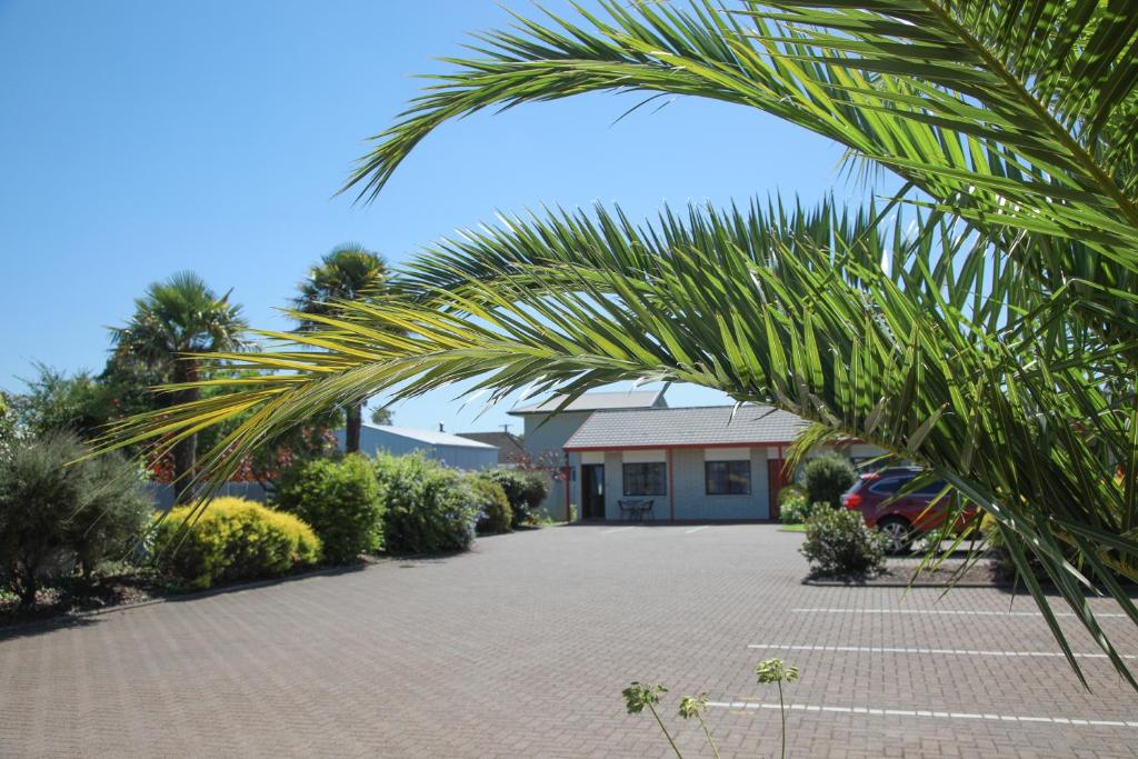Fotografie z fotogalerie ubytování BKs Palm Court Motor Lodge v destinaci Gisborne