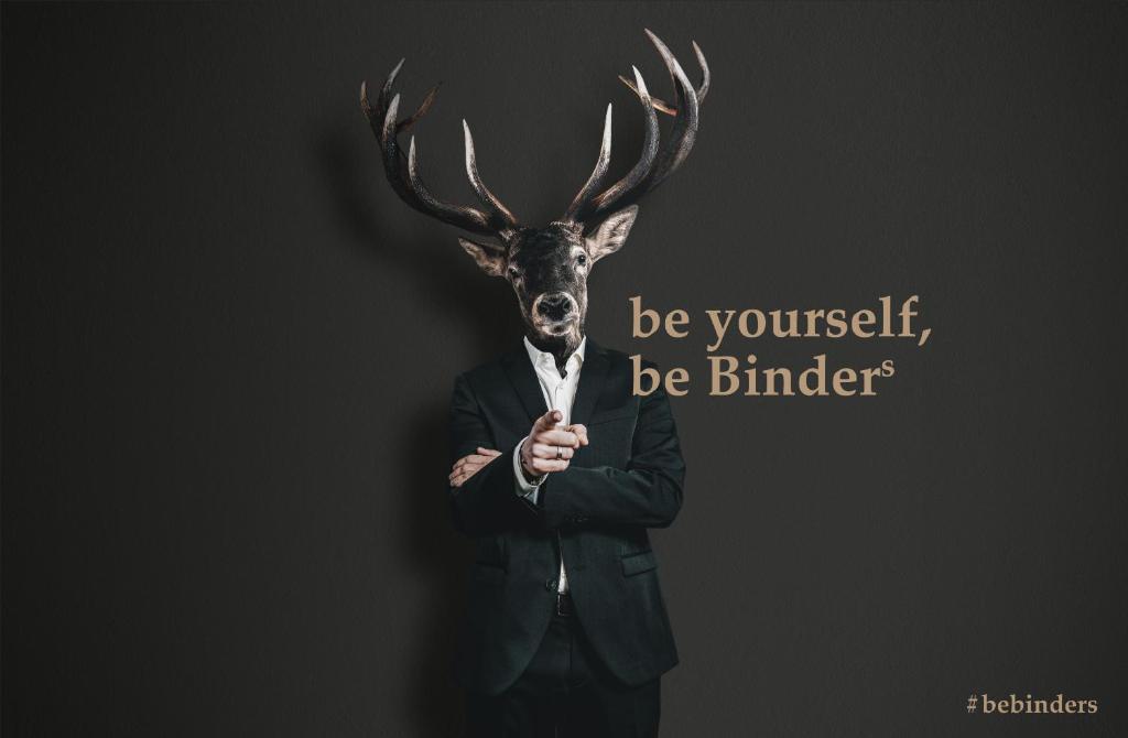 BinderS Budget City-Mountain Hotel