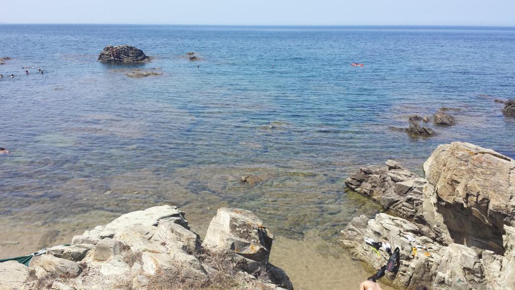 Przyroda w pobliżu tego domu wakacyjnego