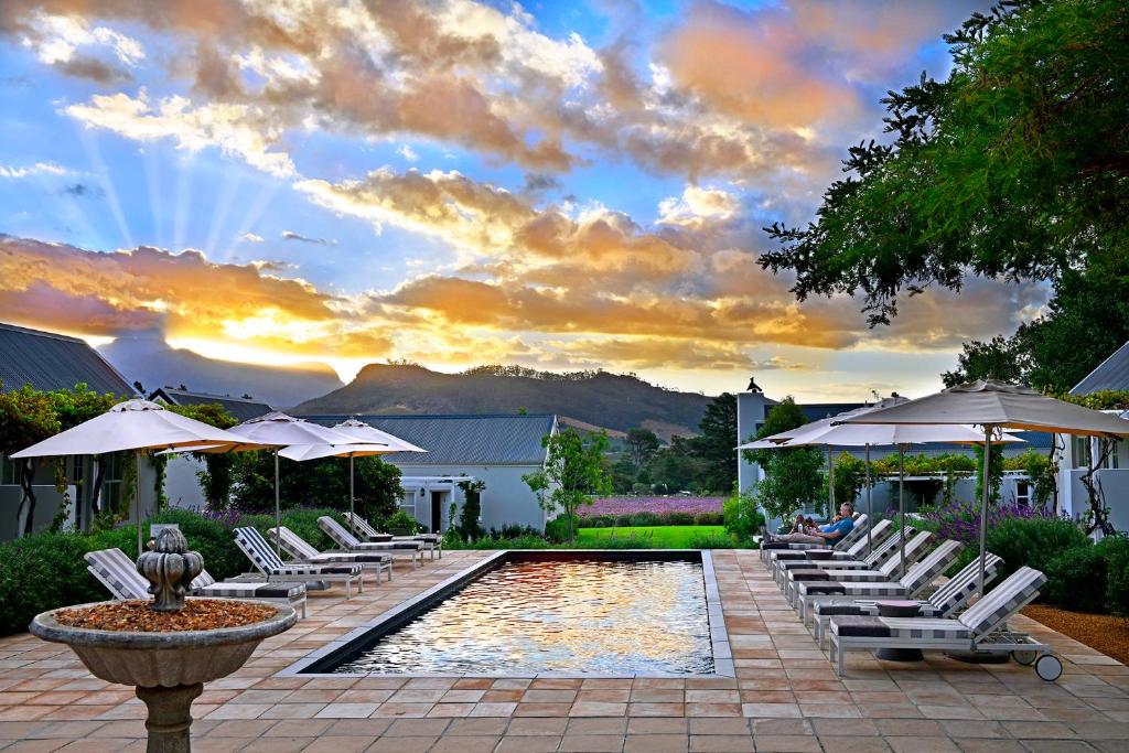 - une piscine avec des chaises longues blanches et des parasols dans l'établissement Lavender Farm Guest House, à Franschhoek