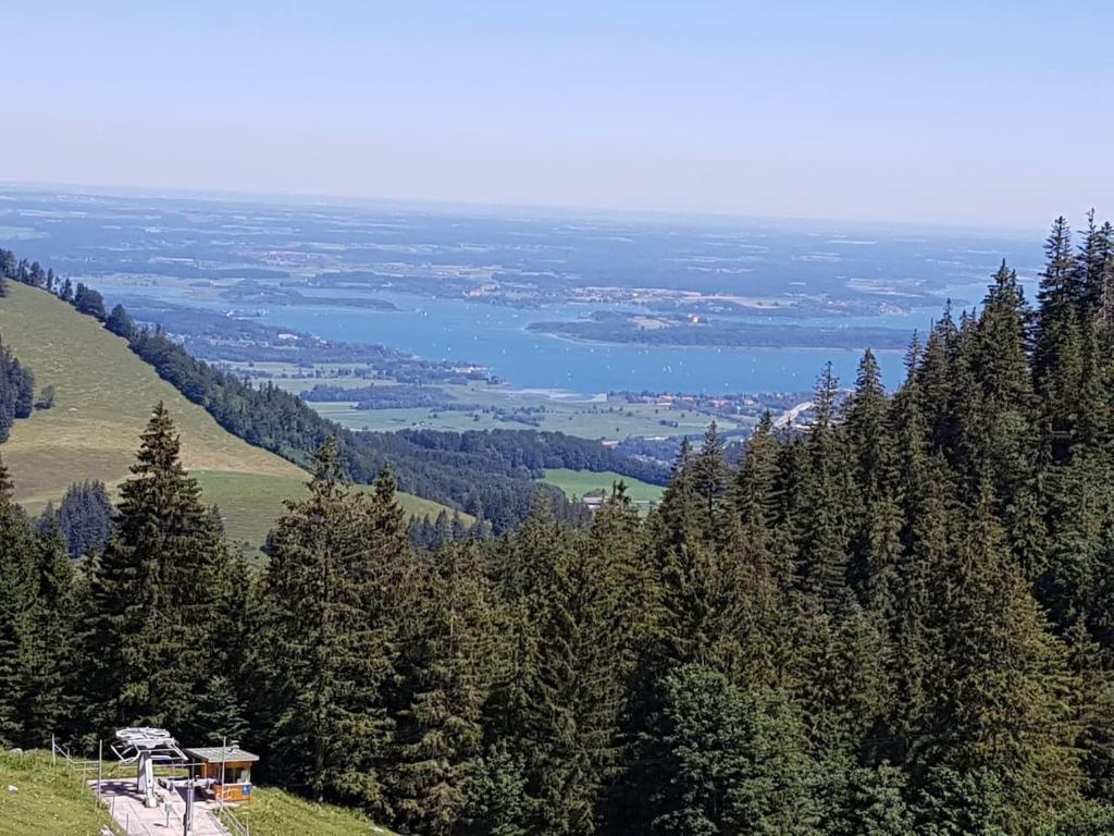 Blick auf einen Hügel mit Bäumen und einen See in der Unterkunft Bergblick und See in Bernau am Chiemsee
