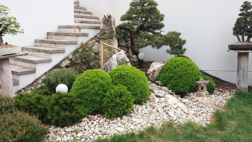 Zahrada ubytování Hotel Bonsai