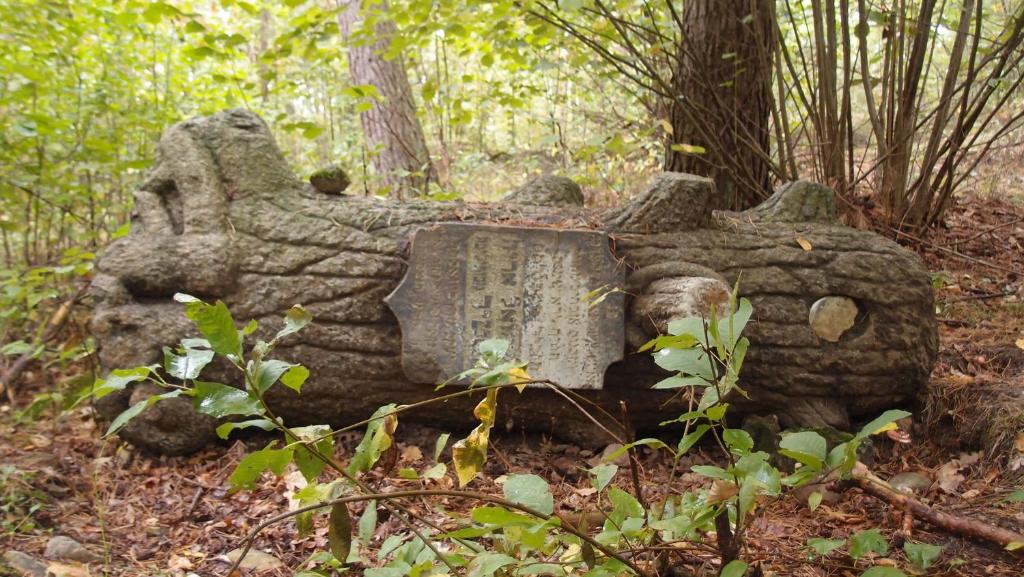 Fotografia z galérie ubytovania Jałówka - odpocznij na Podlasiu v destinácii Jałówka