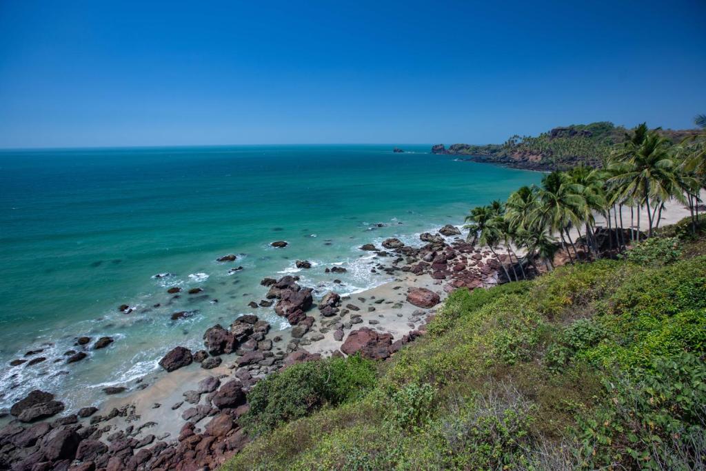 an aerial view of a beach with palm trees and the ocean at Cabo Serai in Canacona