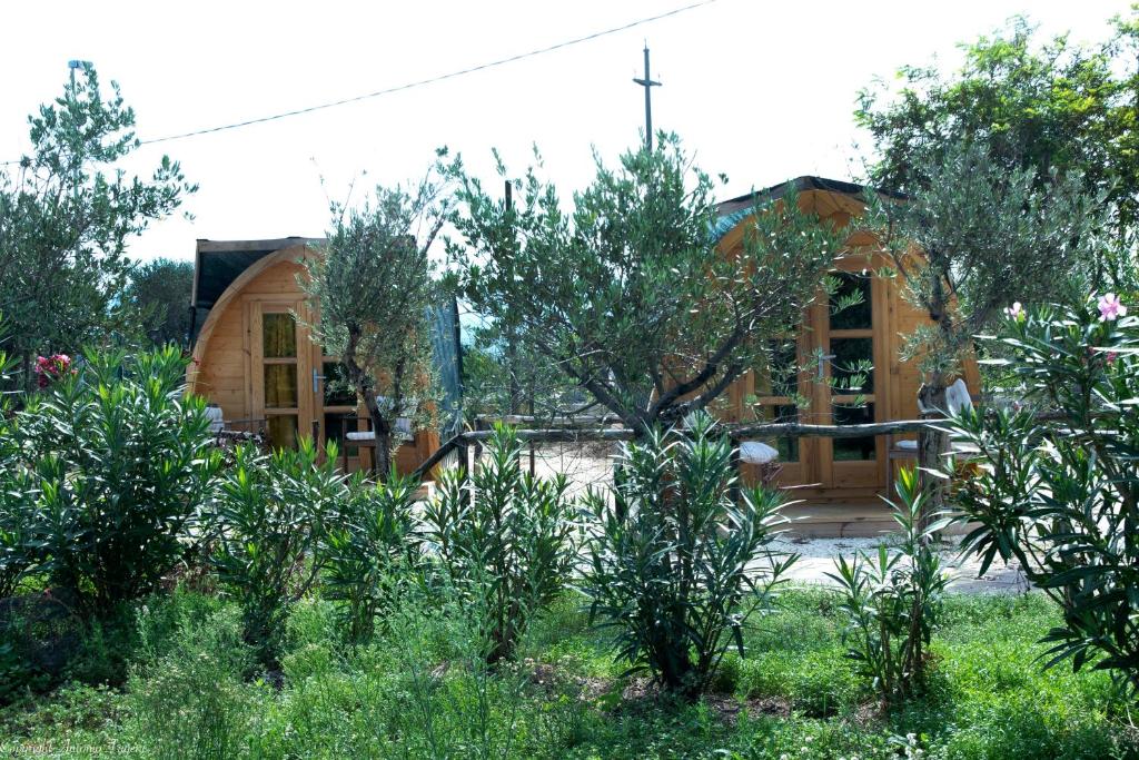 Giardino di Torre del Lago