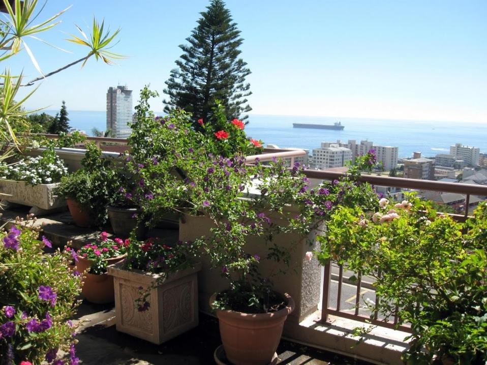 un montón de plantas en macetas sentadas en un balcón en 123 Ocean View Drive Apartment, en Ciudad del Cabo