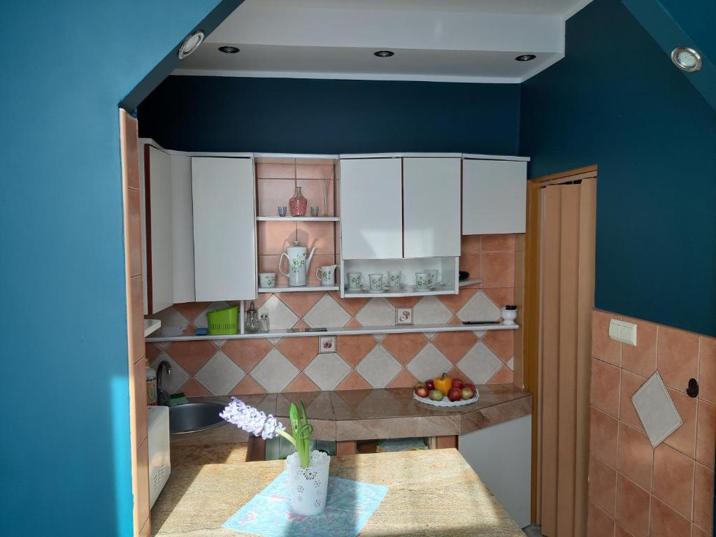 Kuchyňa alebo kuchynka v ubytovaní Apartament Dworcowa
