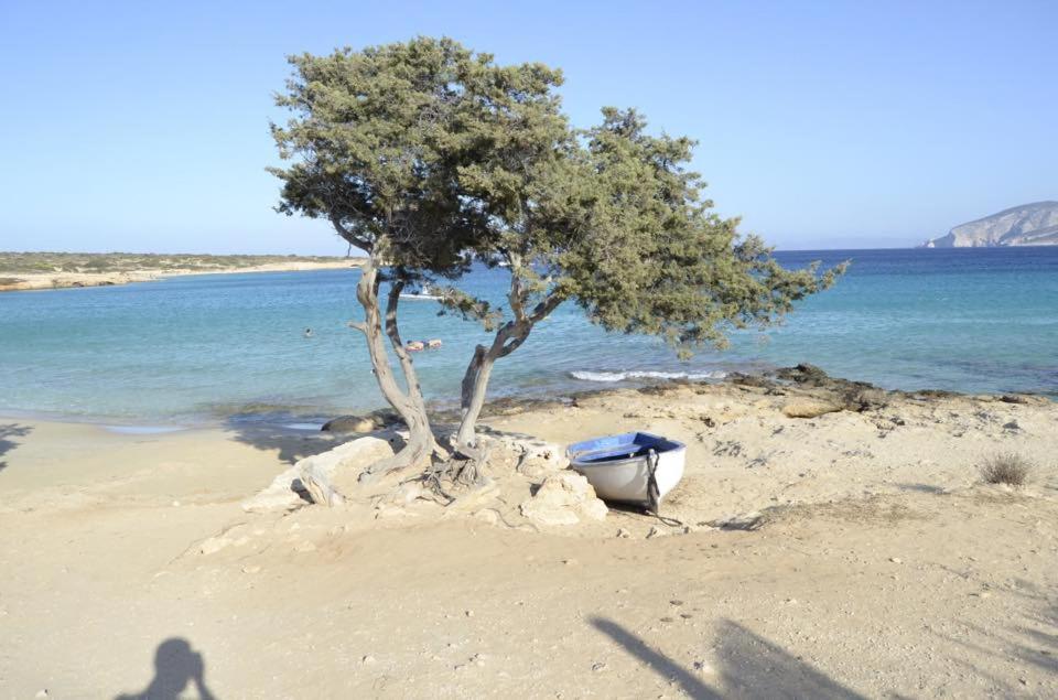 a tree and a boat on the beach at Fanos Studios in Koufonisia