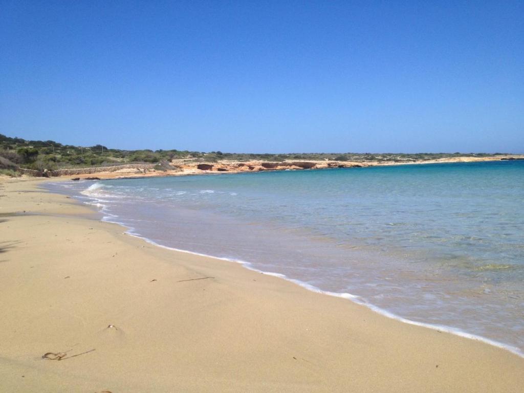 Nektarios Fanos Studios - 13