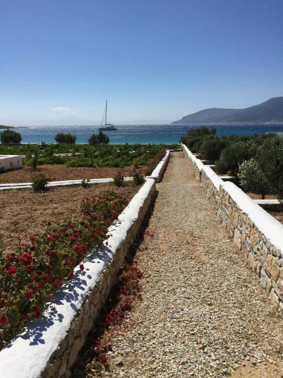 Nektarios Fanos Studios - 11