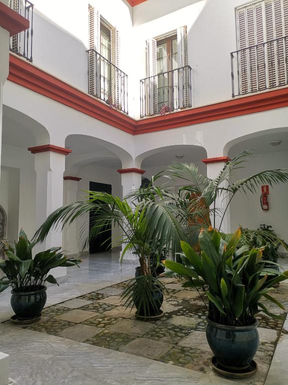 dziedziniec z doniczkami w budynku w obiekcie Teodosio Apartment FREE PARKING & CENTRAL AC w Sewilli