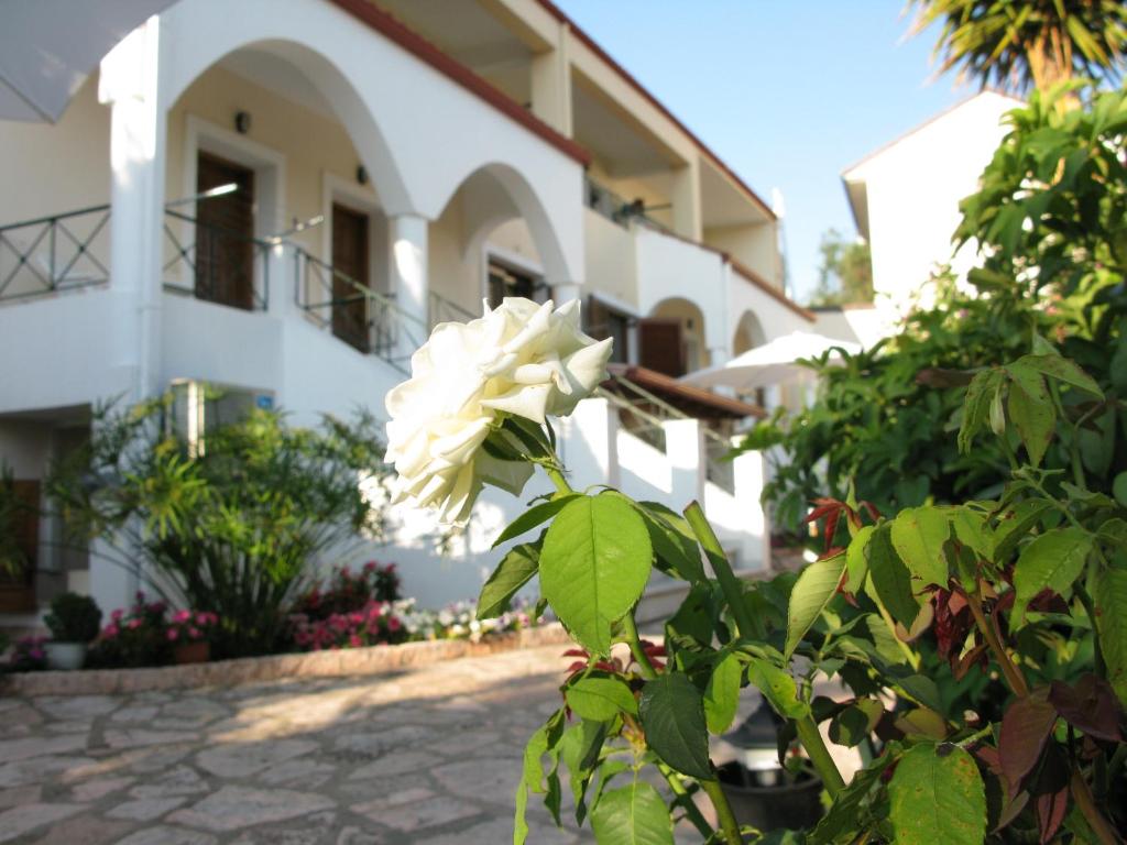 Aloe Villa
