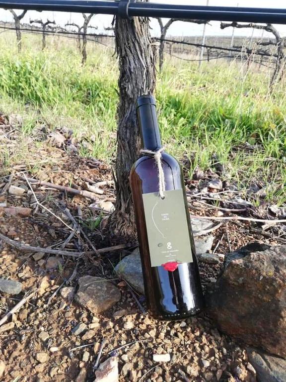 a bottle of wine sitting next to a tree at Casa Grainha Vidigueira in Vidigueira