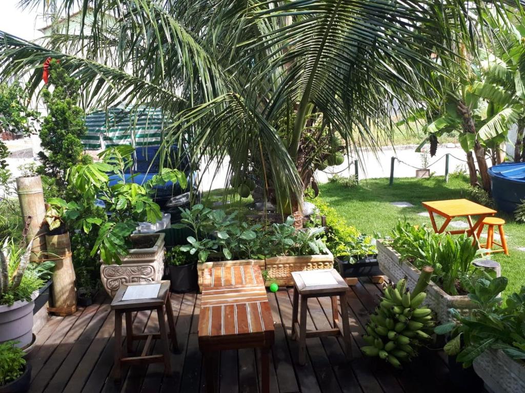  Meu paraiso