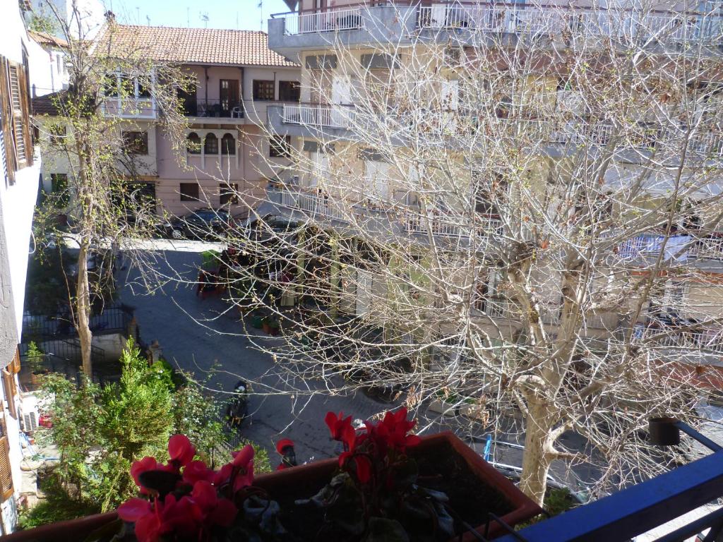 a view from the balcony of a building with a tree at Irodotou Studio in Thessaloniki