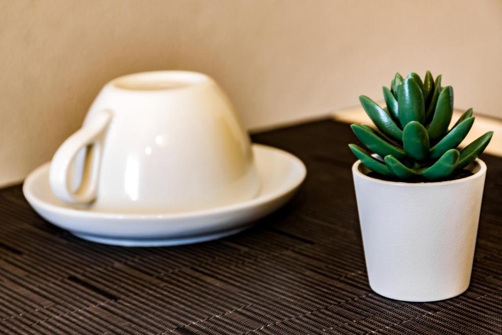 a white cup and a plant on a table at TRAVEL STATION Bedandbreakfast in Bari
