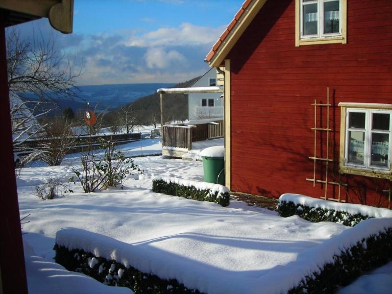 Holzferienhaus v zimě