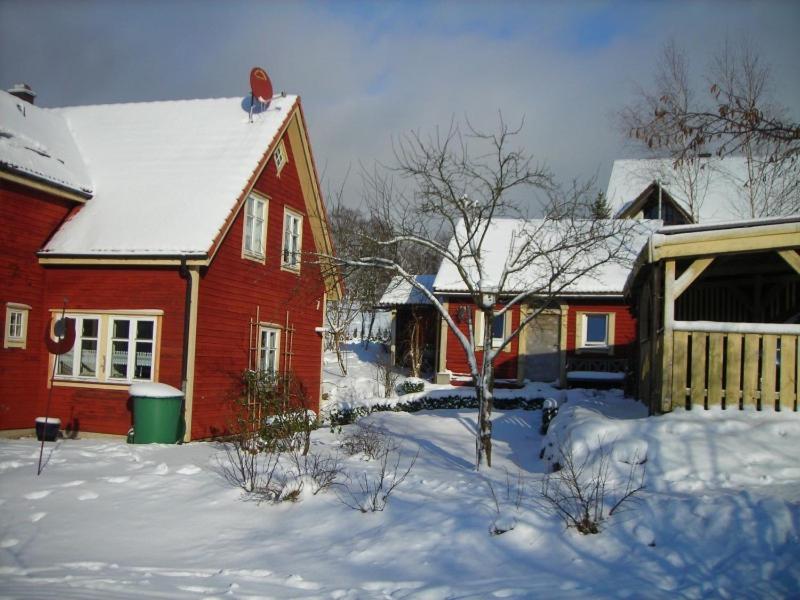 Holzferienhaus v zimě
