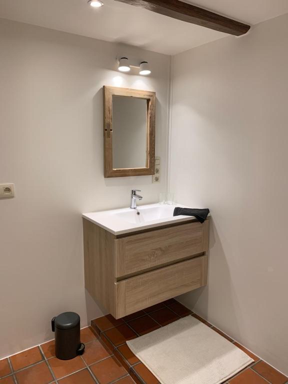 Koupelna v ubytování B&B Dageraad