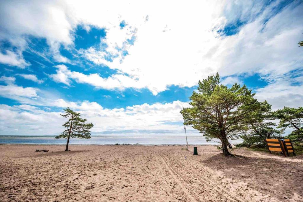 dos árboles en una playa de arena cerca del agua en Mändjala Camping, en Mändjala