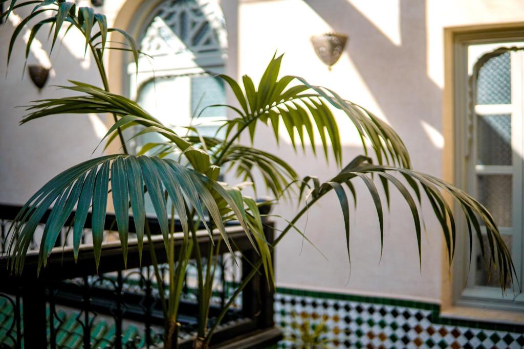Fotografie z fotogalerie ubytování Riad Zidania v destinaci Meknes