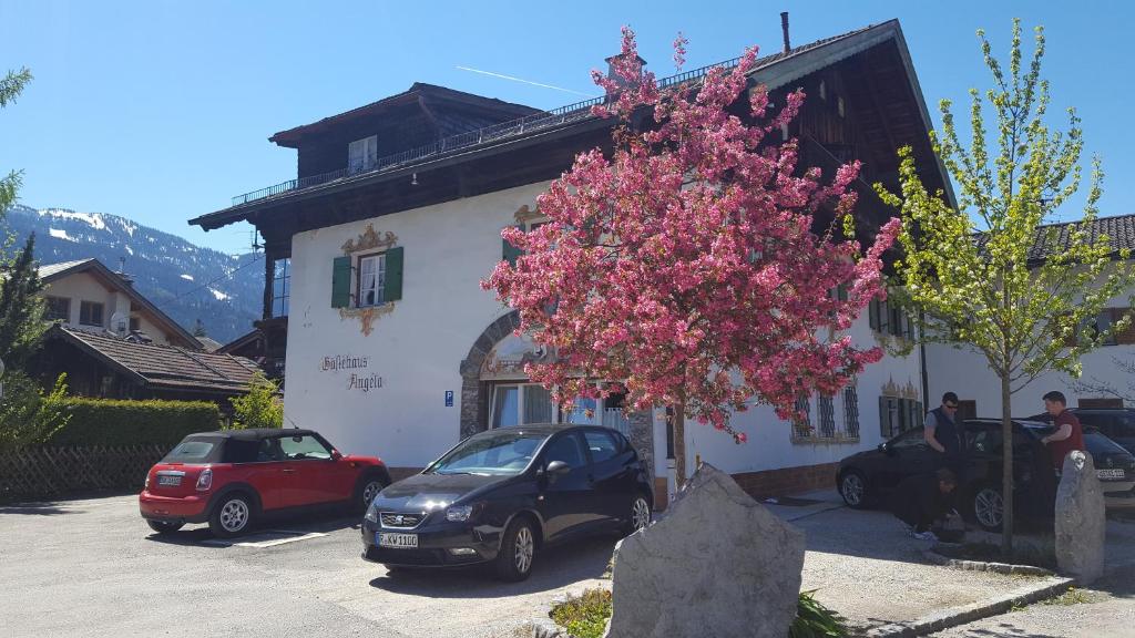 a tree with pink flowers in front of a building at Gästehaus Angela in Garmisch-Partenkirchen