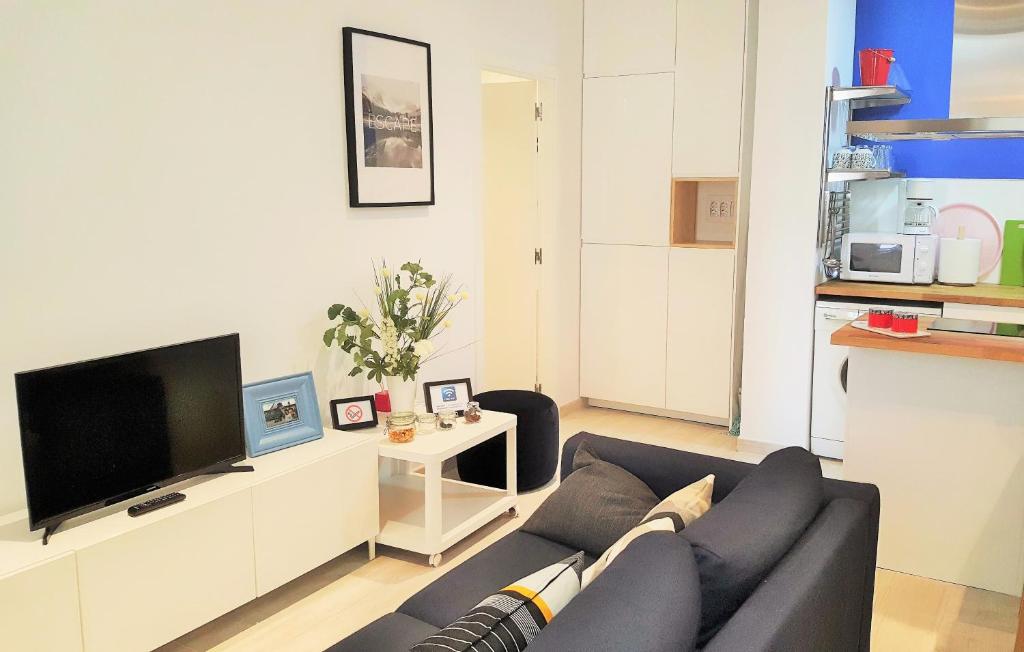 a living room with a couch and a flat screen tv at La Casa de Mencía AT-47-44 in Valladolid