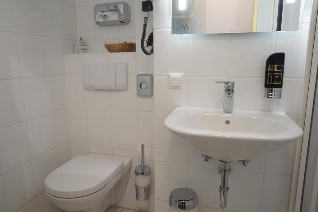 Hotel Edel Weiss - Resim 10