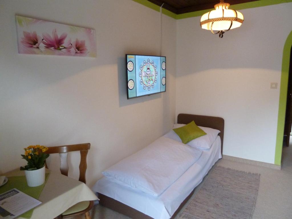 Pension Schöne Aussicht - 9