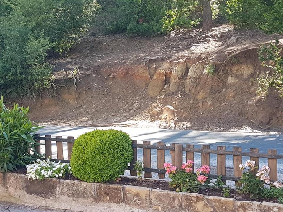 Vonkajšia záhrada v ubytovaní MONTE PIEDRA