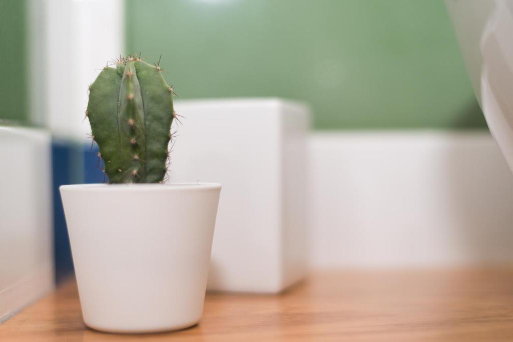 Sorrento Stylish Rooms - 12