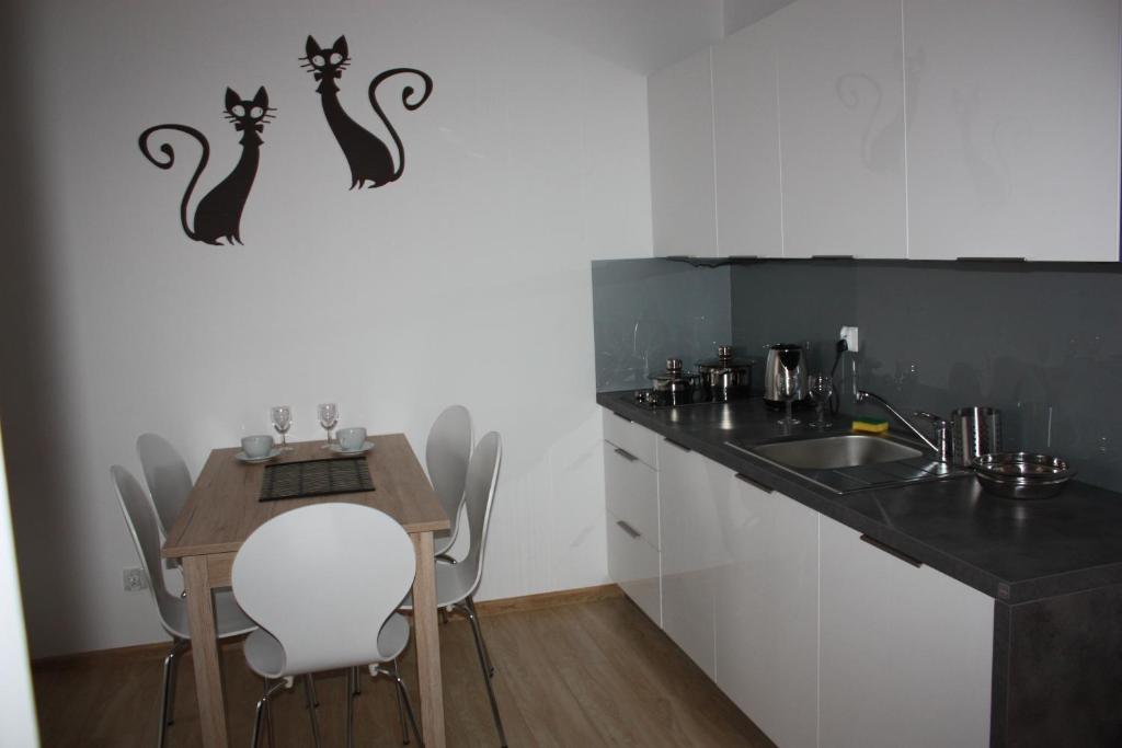 Kuchyňa alebo kuchynka v ubytovaní KOLOBRZEG apartamenty GREG POLANKI